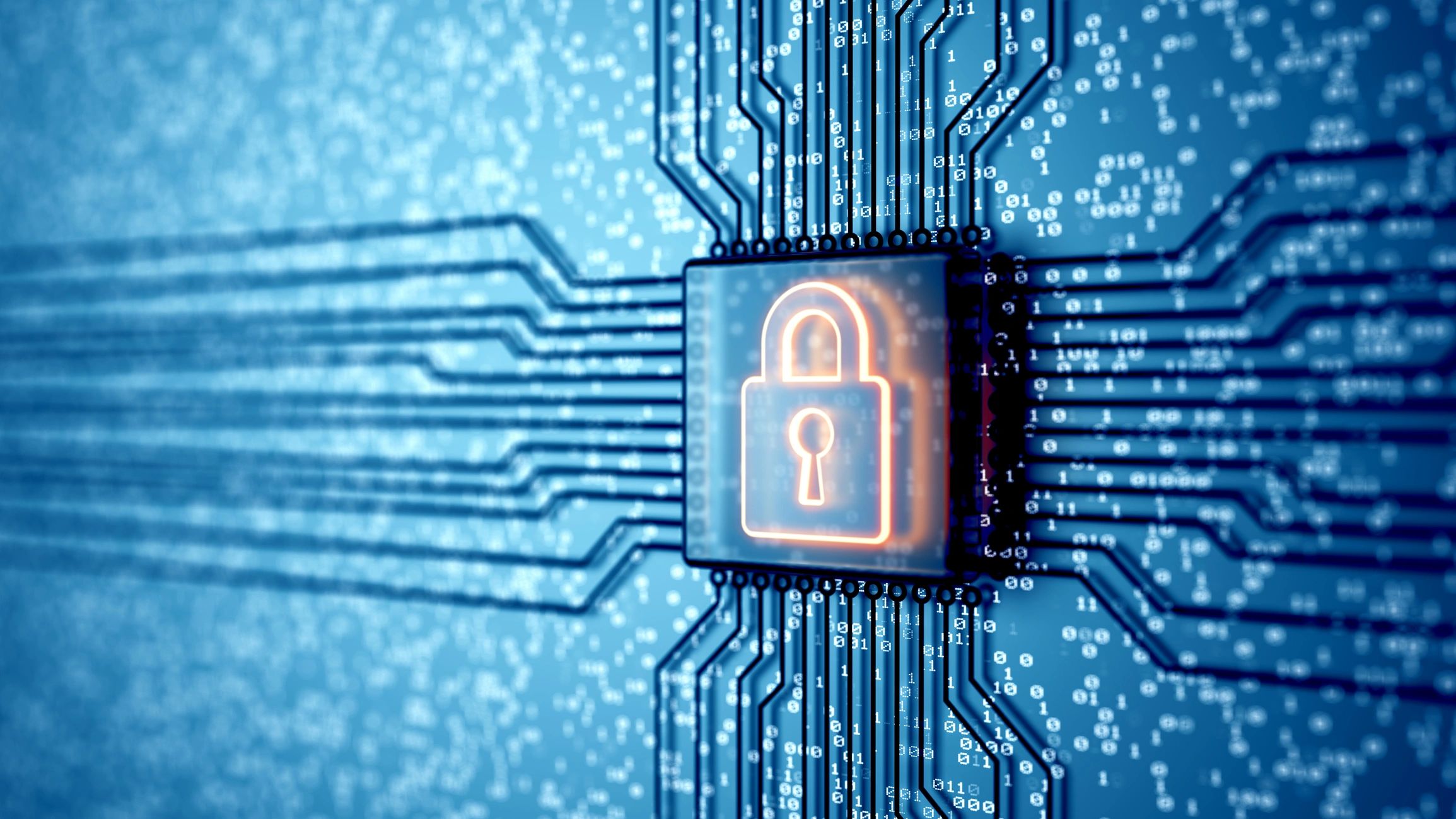 Digital security and privacy protection